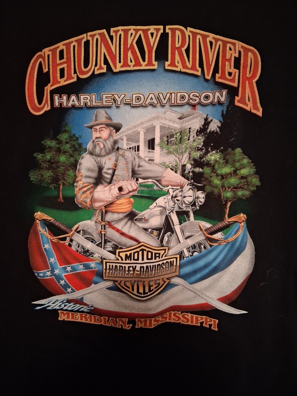Vintage harley Davidson shirt
